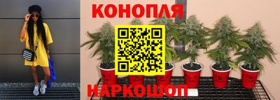 прущая мука Нарткала