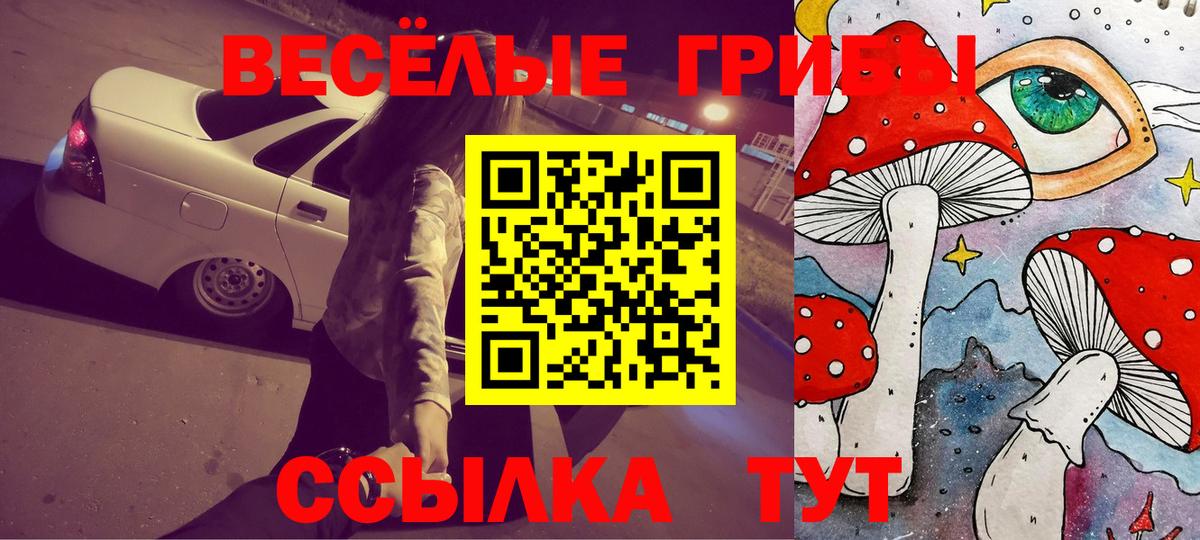 Псилоцибиновые грибы Cubensis  Вход с VPN  Белорецк 